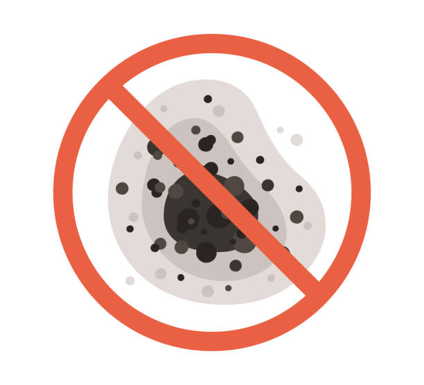 Best Comprehensive Air Testing for Mold Contaminants  in Sylvan Lake, MI