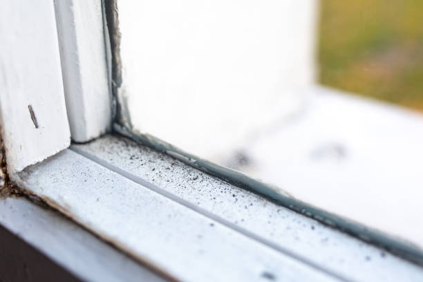 Asbestos and Lead Testing During Mold Inspection in Sylvan Lake, MI
