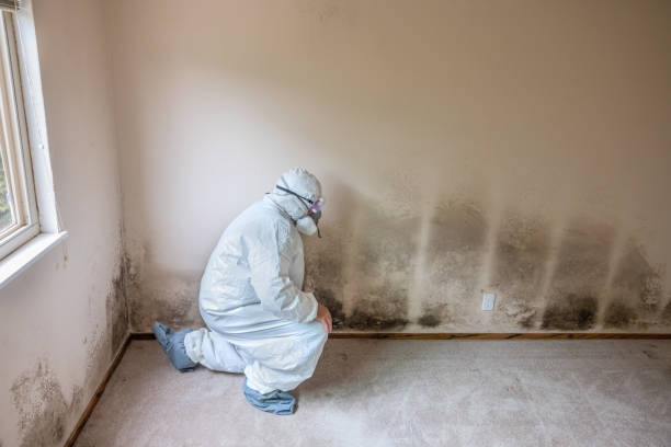 Best Mold Odor Removal Services  in Sylvan Lake, MI
